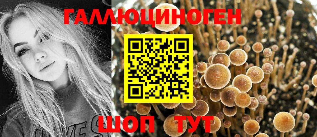 Галлюциногенные грибы мицелий Аксай