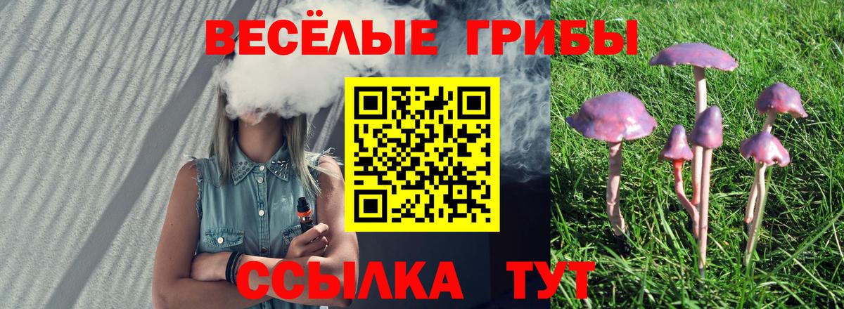 Аксай  Галлюциногенные грибы мухоморы  Вход с VPN 
